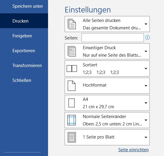 Druckoptionen in Word
